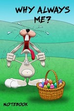 Why Always Me?: A perfect